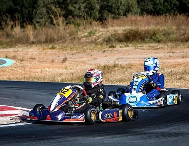 Race Professionally Go Karts